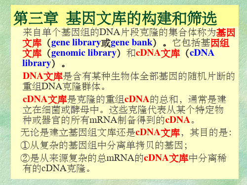 基因组文库的构建