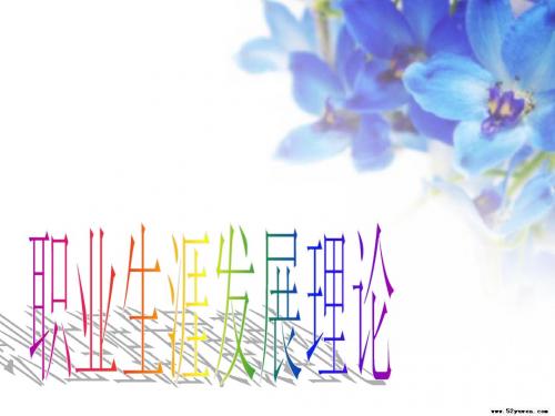职业生涯发展理论