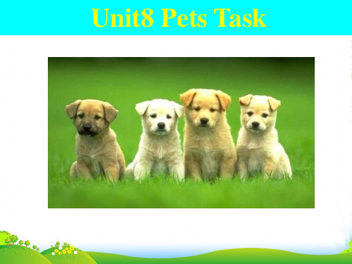 新牛津译林版七年级英语下册Unit8 Pets Task 优课件(共19张PPT)