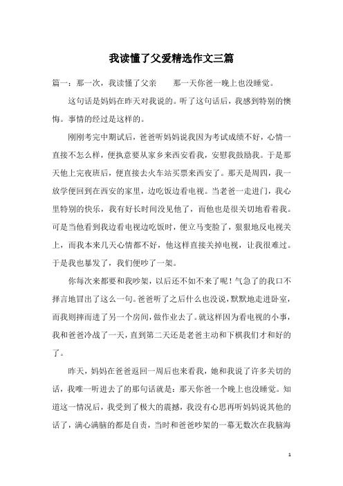 我读懂了父爱精选作文三篇