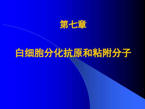 白细胞分化抗原和粘附分子