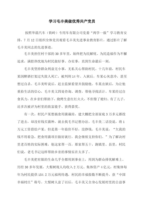 学习毛丰美做优秀共产党员