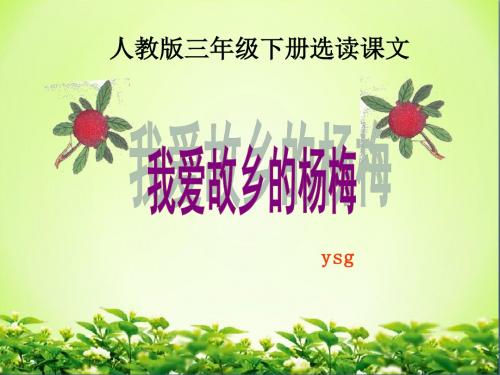 小学语文人教2001课标版三年级下册 选读课文  《2 我爱故乡的杨梅》