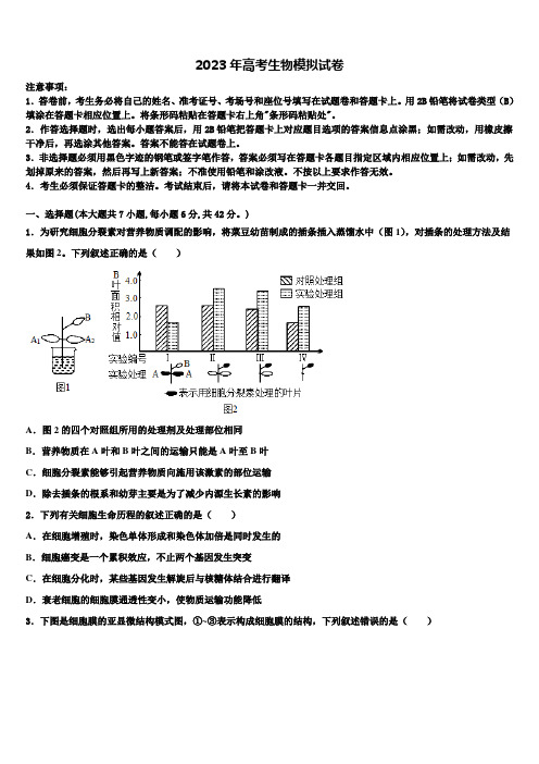 河南省鹤壁市高中2023年高三第二次诊断性检测生物试卷含解析