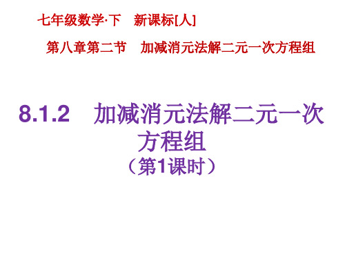 人教版 七年级下册第八章 二元一次方程组  8.1二元一次方程组 课件(共14张PPT)