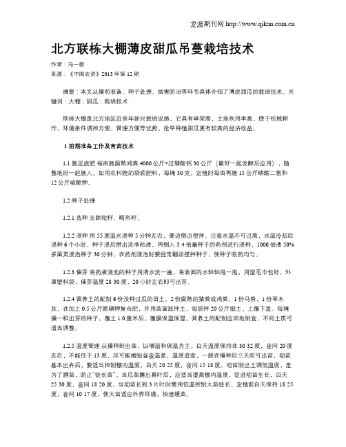 北方联栋大棚薄皮甜瓜吊蔓栽培技术