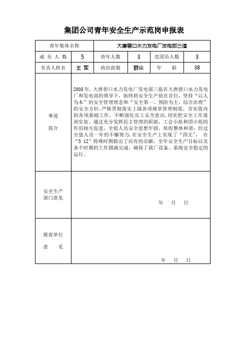 大唐集团公司青年安全生产示范岗申报材料