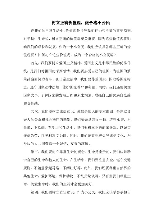 树立正确价值观,做合格小公民