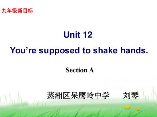 You’re supposed to shake hands课件(正式2)