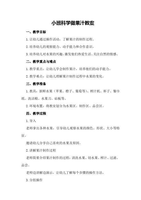 小班科学做果汁教案