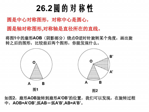 九年级数学圆的对称性2(1)_1719