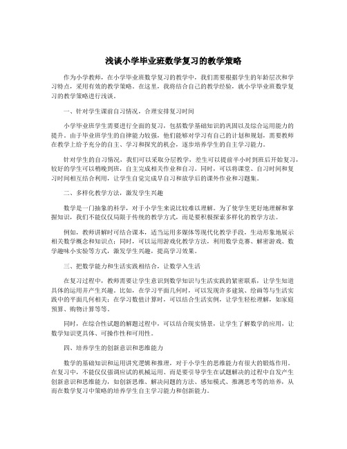 浅谈小学毕业班数学复习的教学策略