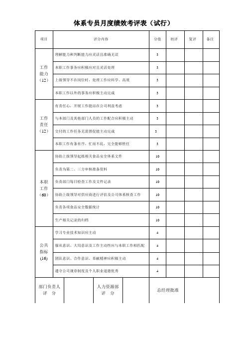 体系专员绩效考核表