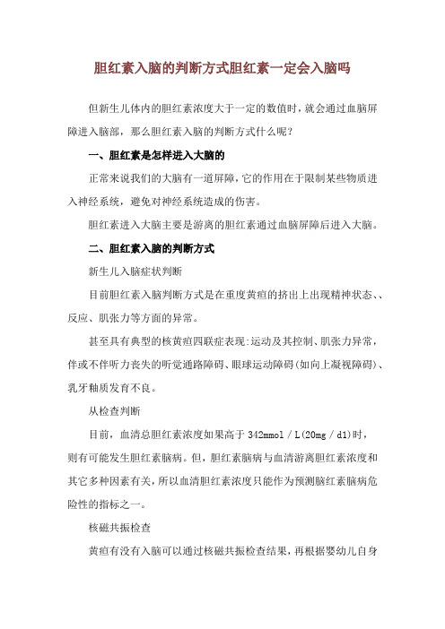 胆红素入脑的判断方式 胆红素一定会入脑吗