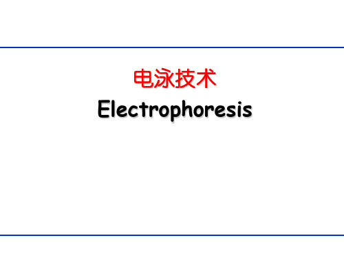 生物分离工程第八章电泳技术ppt课件