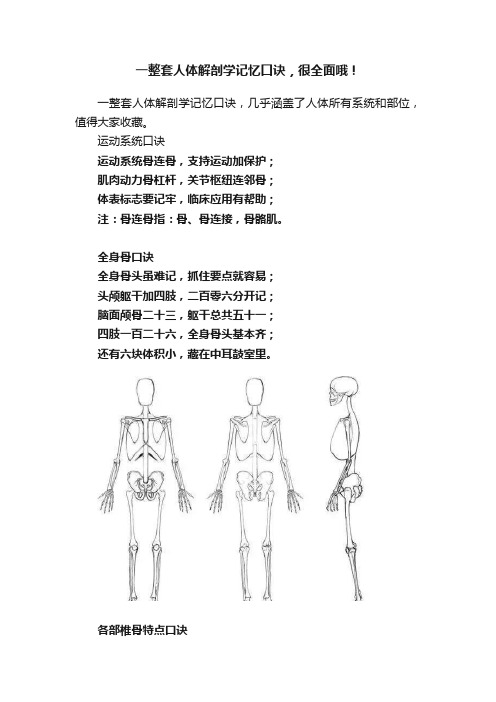 一整套人体解剖学记忆口诀，很全面哦！