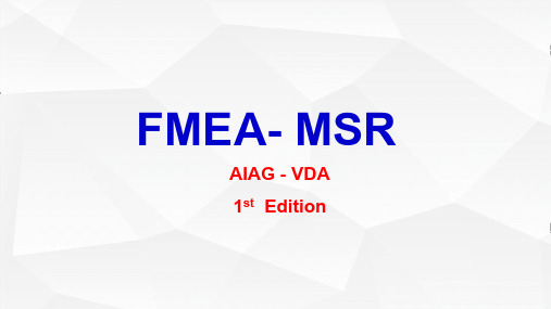 AIAG-VDAFMEA(第一版) 新版 第五版 4MSR