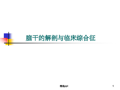 脑干的解剖及临床综合征