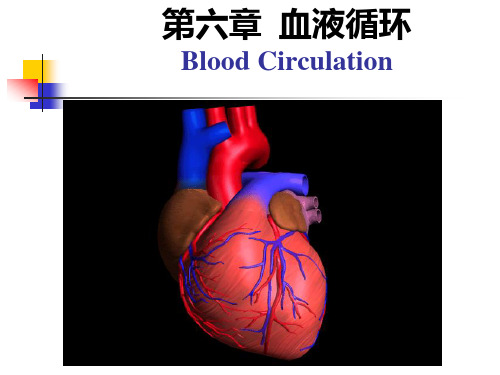 中国药科大学人体解剖生理学课件—第六章 血液循环