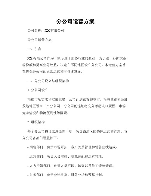 分公司运营方案