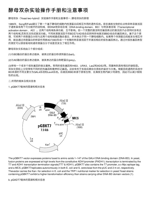 酵母双杂实验操作手册和注意事项