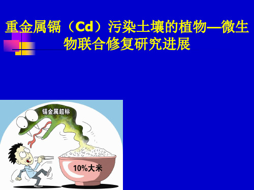 重金属镉(Cd)污染土壤的植物—微生物联合修复研究进展