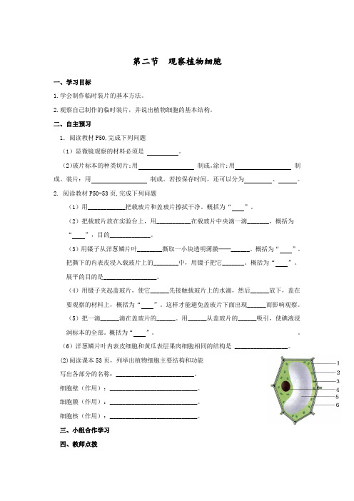 2.1.2  观察植物细胞  学案-2023-2024学年鲁科版生物六年级上册