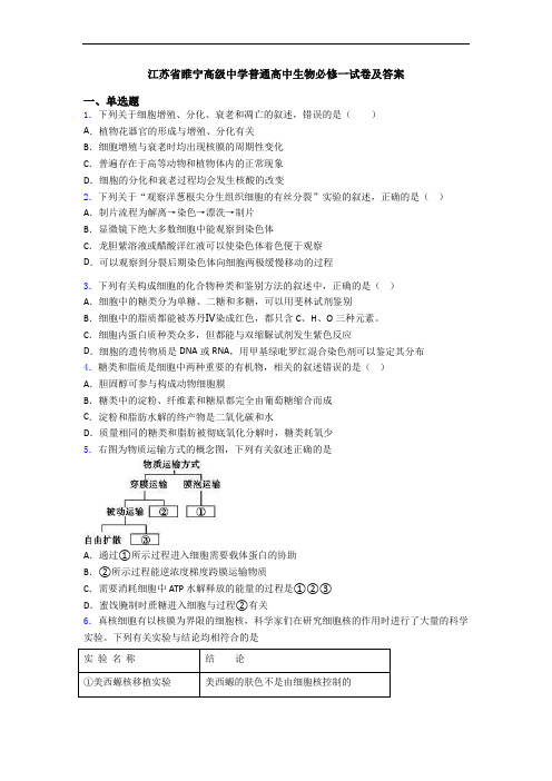 江苏省睢宁高级中学普通高中生物必修一试卷及答案