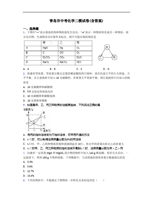 青岛市中考化学二模试卷(含答案)