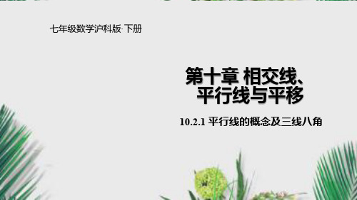 2020年春沪科版七年级数学下册课件10.2.1平行线的概念及三线八角