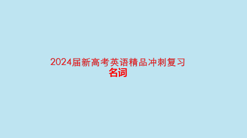 2024届新高考英语精品冲刺复习名词