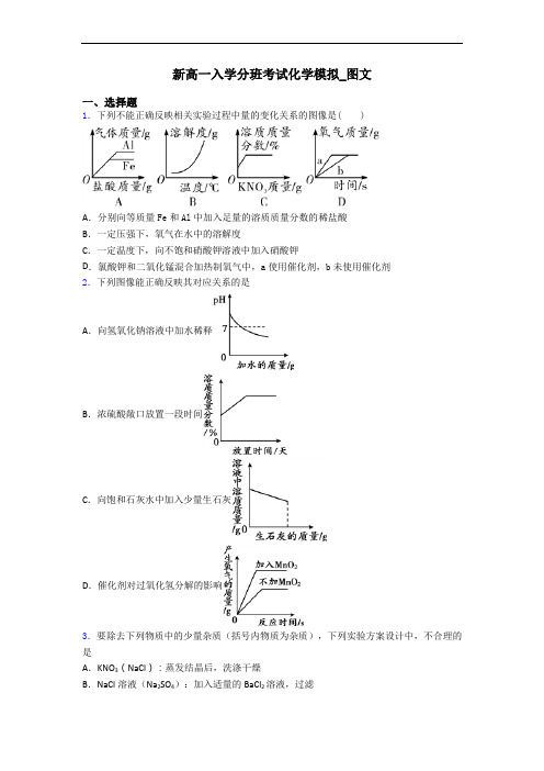 新高一入学分班考试化学模拟_图文