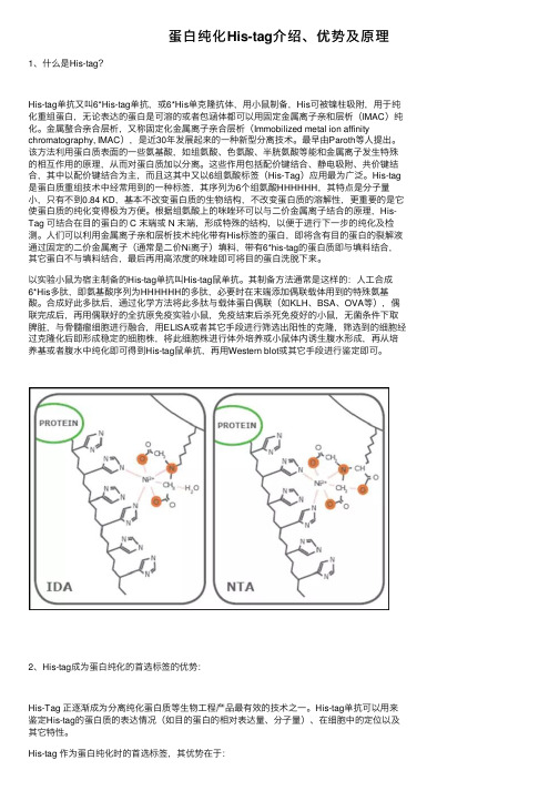 蛋白纯化His-tag介绍、优势及原理