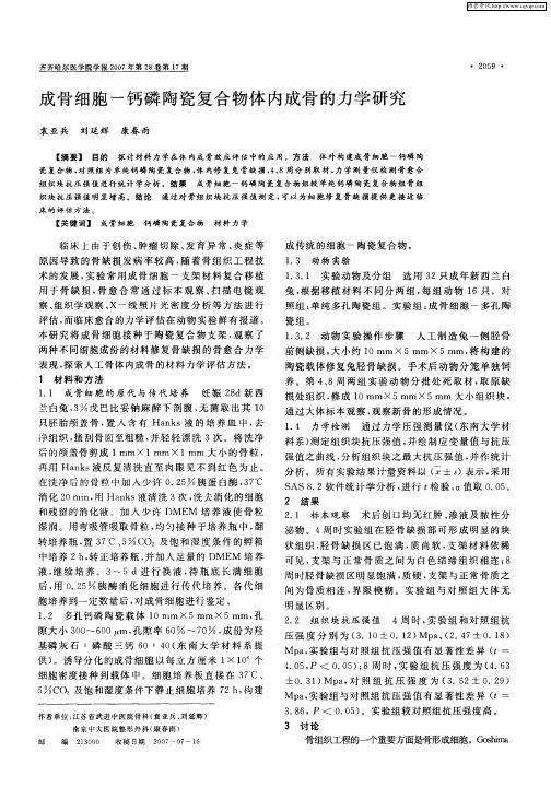 成骨细胞-钙磷陶瓷复合物体内成骨的力学研究
