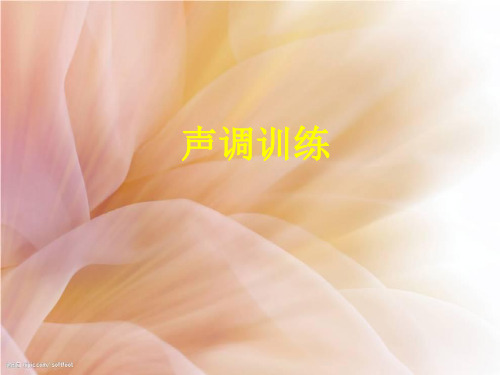 声调训练5(ppt文档)