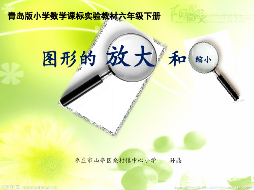 青岛版小学数学课标实验教材六年级下册图形的放大和缩小 微课件