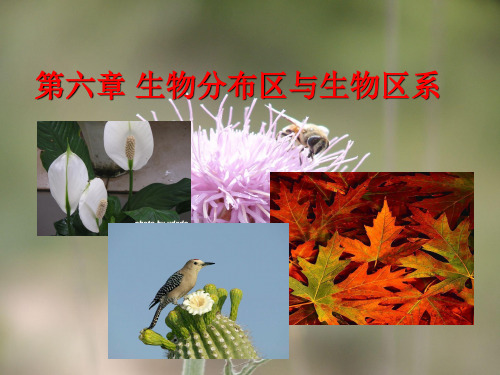 生物分布区与生物区系