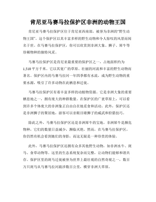 肯尼亚马赛马拉保护区非洲的动物王国