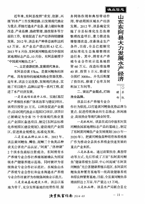山东东阿县大力发展水产经济