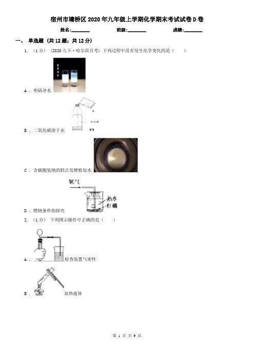 宿州市墉桥区2020年九年级上学期化学期末考试试卷D卷