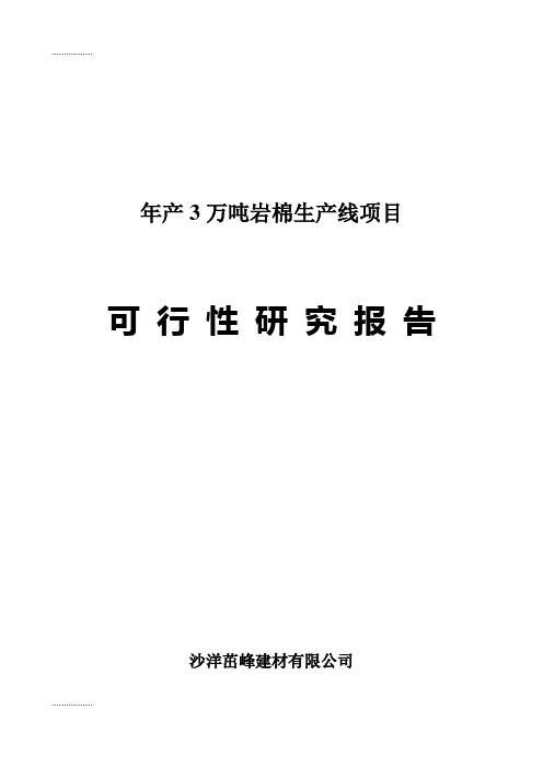 (整理)年产3万吨岩棉生产线项目可行性研究报告