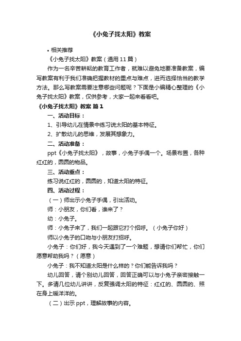 《小兔子找太阳》教案