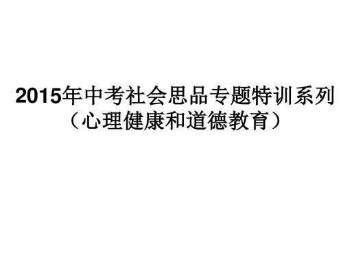 2015年中考社会思品专题特训系列6课件