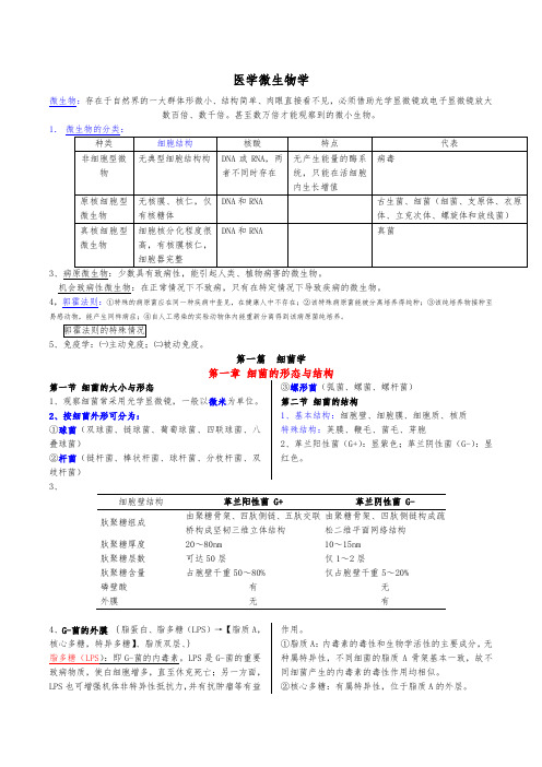 医学微生物学笔记