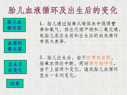 胎儿血液循环及出生后的变化