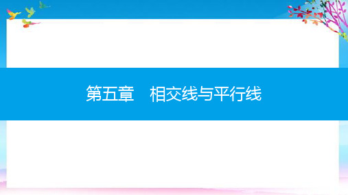 七年级数学下册第五章相交线与平行线5.2平行线及其判定5.2.1平行线课件新新人教 (2)