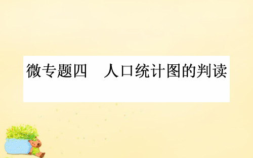 高考地理一轮复习 微专题四 人口统计图的判读课件 新人教版