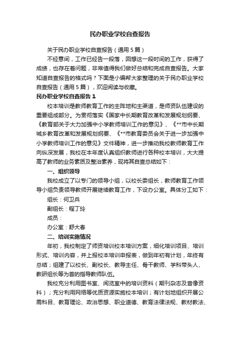 关于民办职业学校自查报告（通用5篇）