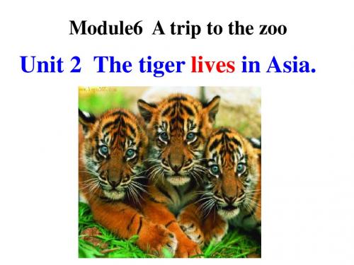 M6U2 The tiger lives in Asia新外研七年级上课件