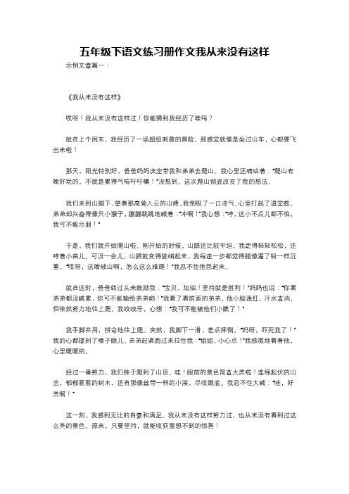 五年级下语文练习册作文我从来没有这样